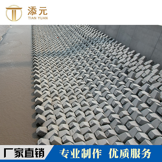 扭王字块 B型 防波堤