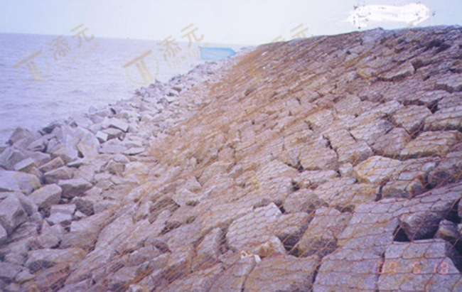 1999年 南汇东滩促淤围垦一期工程八标段