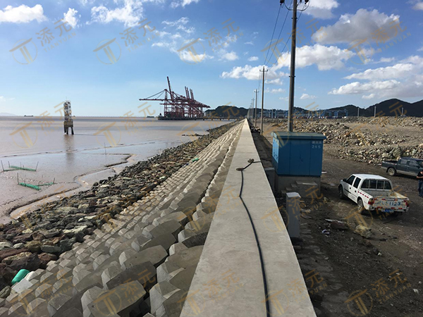 1770881534861162.jpg 竣工的防浪墙.jpg