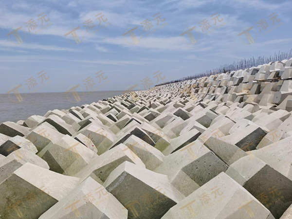 1770885329244662.jpg 扭王字块体安装.jpg