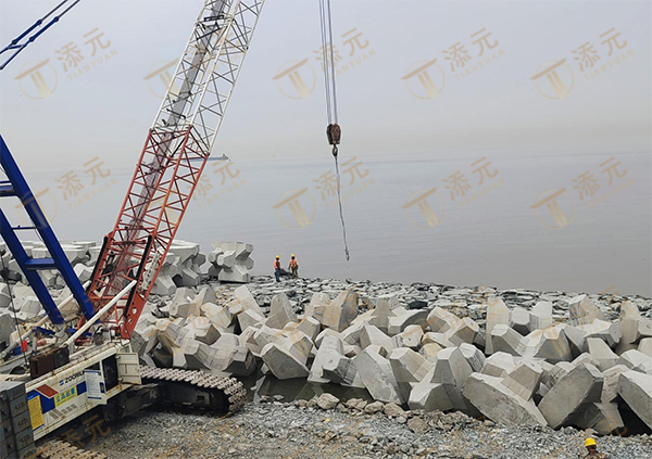 1770887161800531.jpg 扭王字块现场安装.jpg