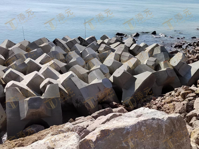 2021年 鑫弘四期码头扭王字块预制工程