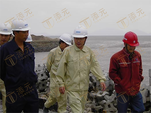 1787651912697944.png 中化集团李从瑞总经理(中)视察工地.png