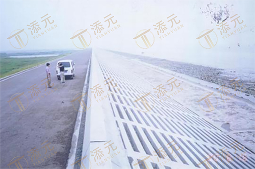 1787723185836121.jpg 竣工海堤(一).jpg