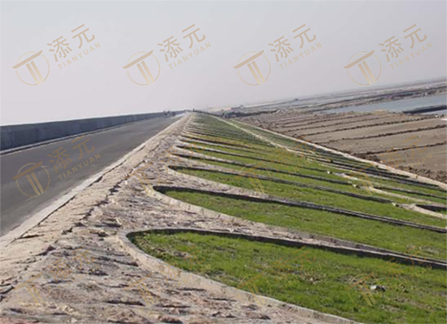 1787723225570031.jpg 竣工海堤(三).jpg