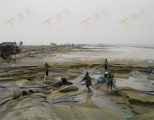 1787802440794881.jpg 充泥管袋筑堤施工.jpg