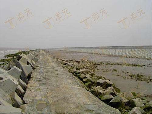 1787805801742261.jpg 竣工海堤(一).jpg