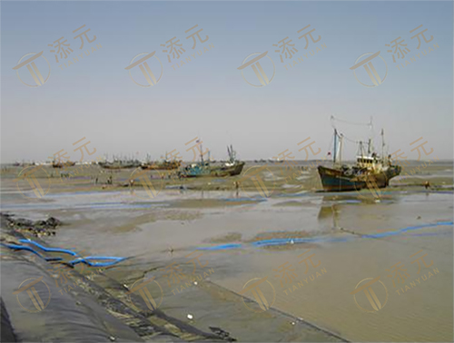 1787822081165142.jpg 大堤外海侧抢潮取沙作业.jpg