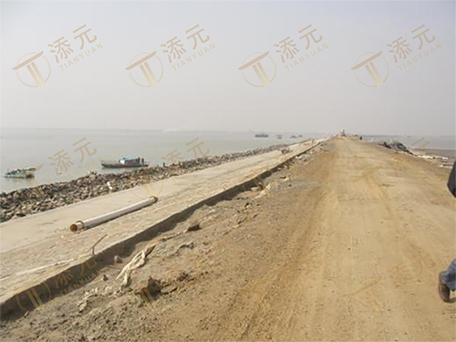 1787822105193866.jpg 吹沙筑堤成形.jpg